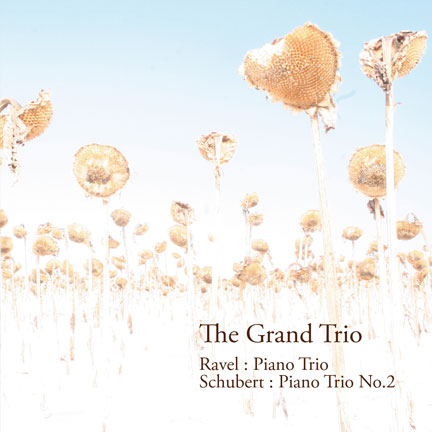 Mozart Sonatas